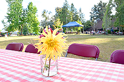LAURELHURST SALMON BAKE 2016